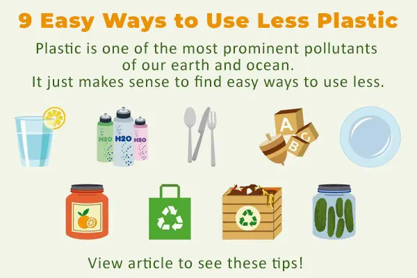 Skipwith Academy - ways to use less plastic