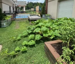 Skipwith Academy Learning Center at Woodlake Garden July 2026